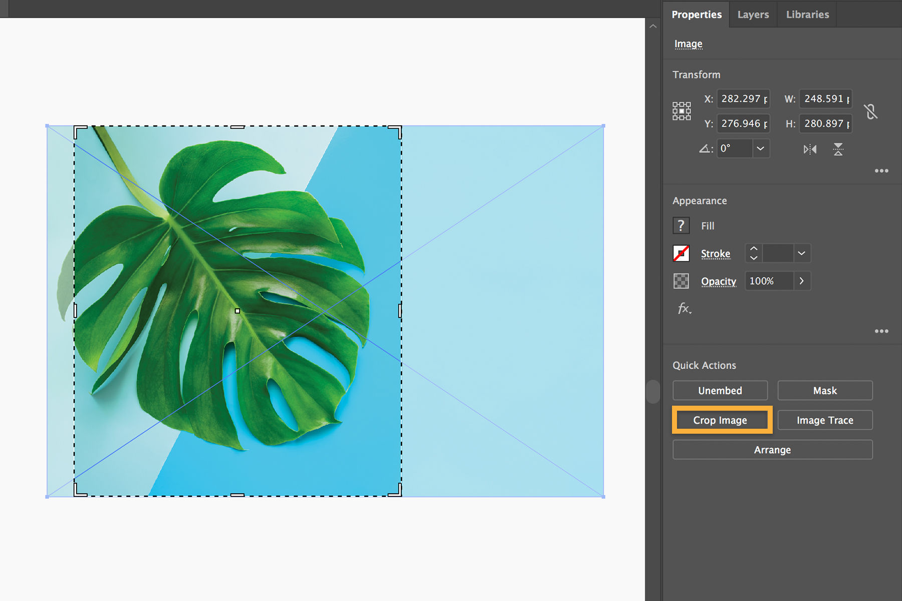 A tropical leaf is selected for cropping. Image < Trace is used to convert raster images to vector art.  