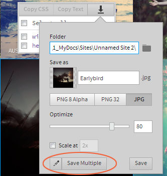 Extract of multiple resolution versions of an image
