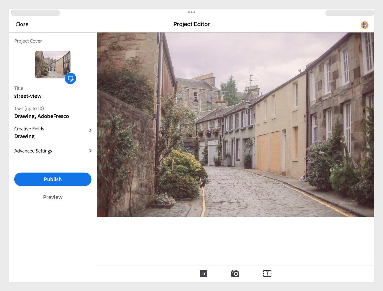 Project Editor showing artwork preview, project title and tags, creative field selection, and a Publish button.