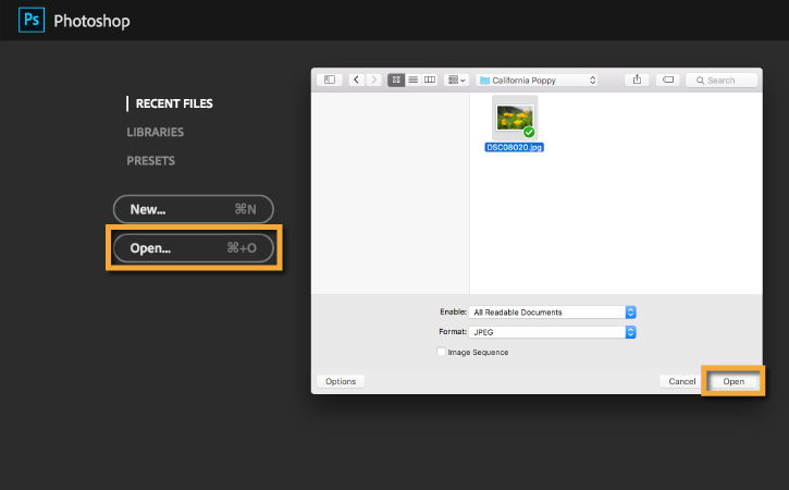 Select File > Open to choose a photo for editing.