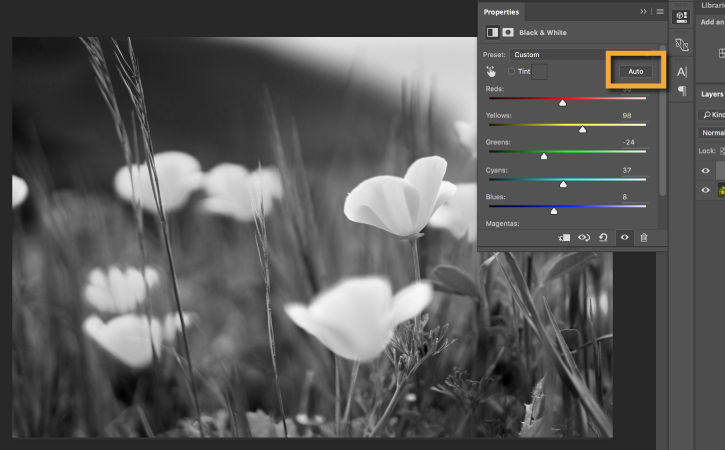 Flowers in the field are now black and white. Auto button is clicked and color sliders appear in the Properties panel. 