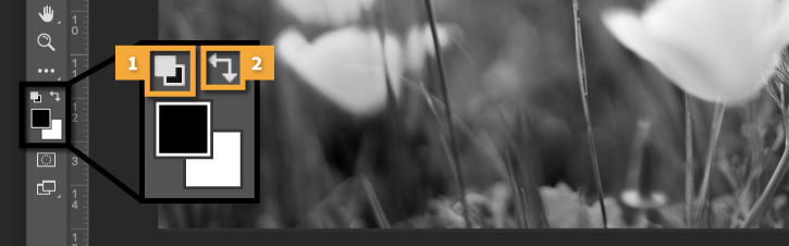 Color picker box is highlighted, and double arrow shows how to toggle between background and foreground colors.