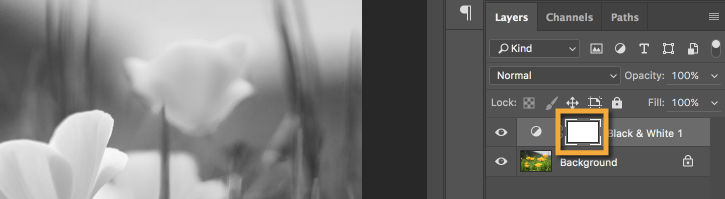 The white layer mask on the Black & White adjustment layer is selected in the Layers panel.