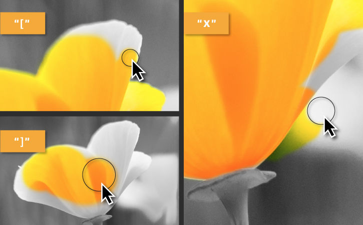 Brush size may be changed using left and right brackets on the keyboard. The X key toggles painting between black and white.