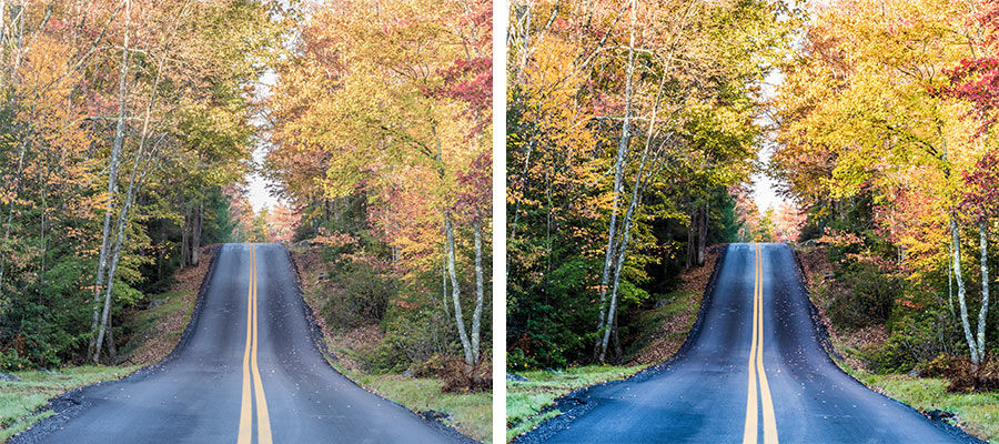 Side by side images of a road through colorful trees in Autumn, the right side photo has more intense colors