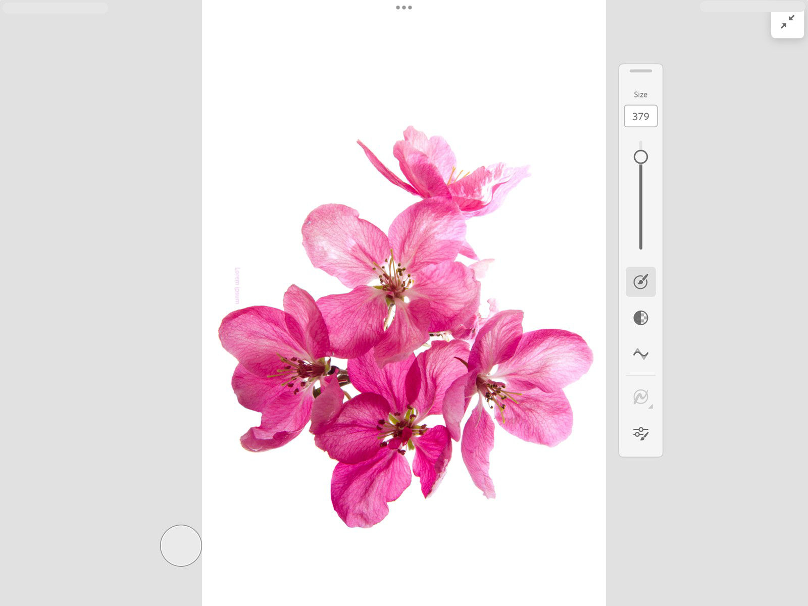 Fresco in Full Canvas view with the Brush controls panel repositioned to the right side of the canvas.