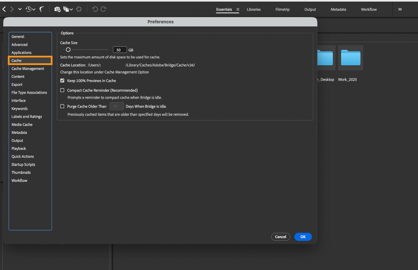 Cache Preferences dialog box is shown on the screen with option to set cache size, purge cache, and more.