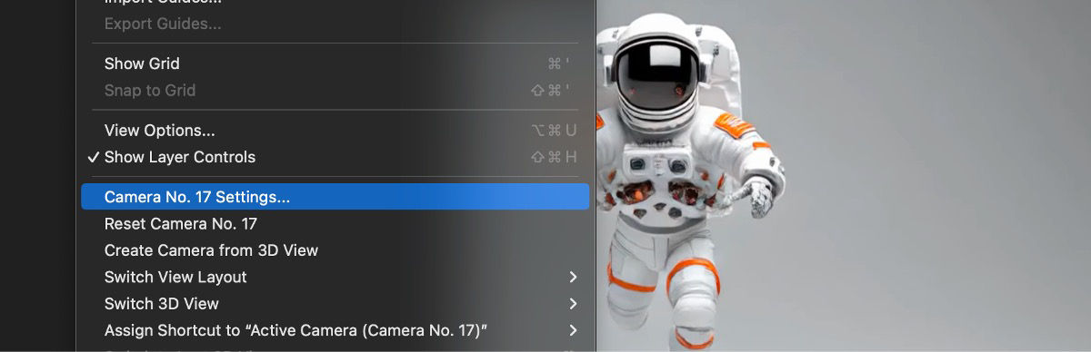 A layer with a Camera is selected in the Timeline panel. The View menu is open and has the Camera No. 17 Settings selected.