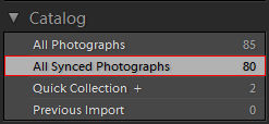 Catalog panel in Lightroom desktop.