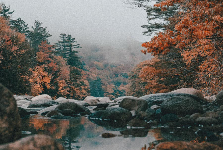 Fall nature scene with lake, large rocks, and trees with red foliage appears grainy with muted colors.