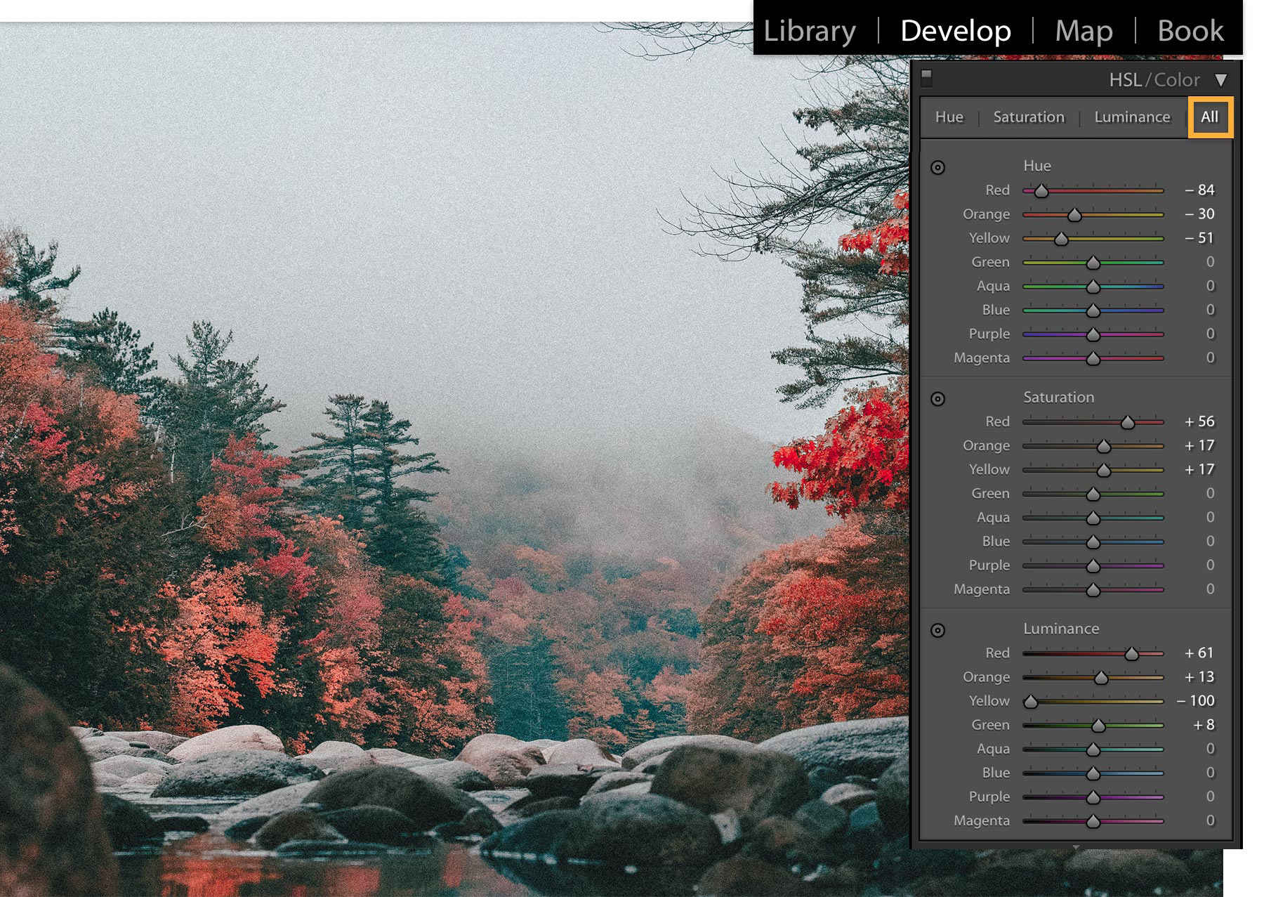 The Develop module has individual color sliders under Hue, Saturation, and Luminance. 