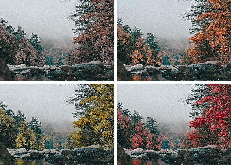 Four versions of the autumn scene with adjusted colors show the trees with brown, orange, yellow, and red leaves. 