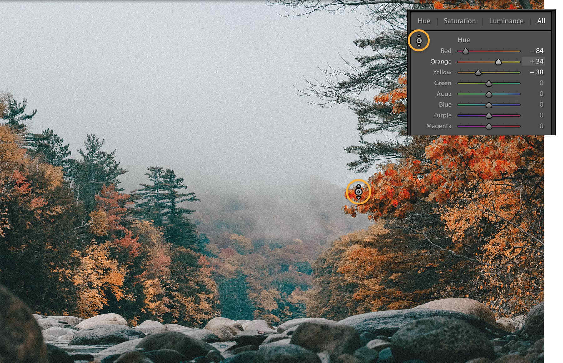 The Targeted Adjustment tool is used to adjust only the leaves in a small section of the autumn scene.  