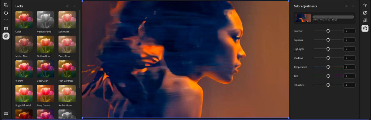 Video editor displays the Looks presets on the left and Color adjustments sliders on the right with a video preview in the center.