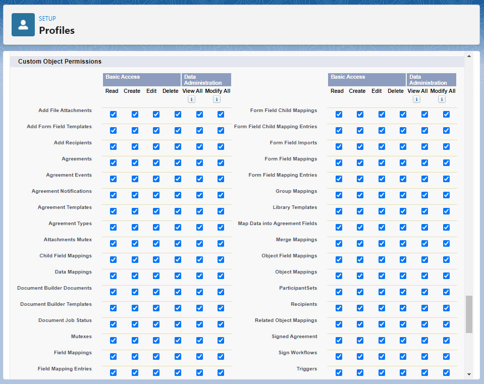 cloned-prodile-custom-object-permissions