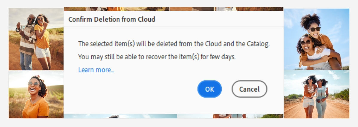 Easily delete the desired media item(s) from the Cloud and catalog. 