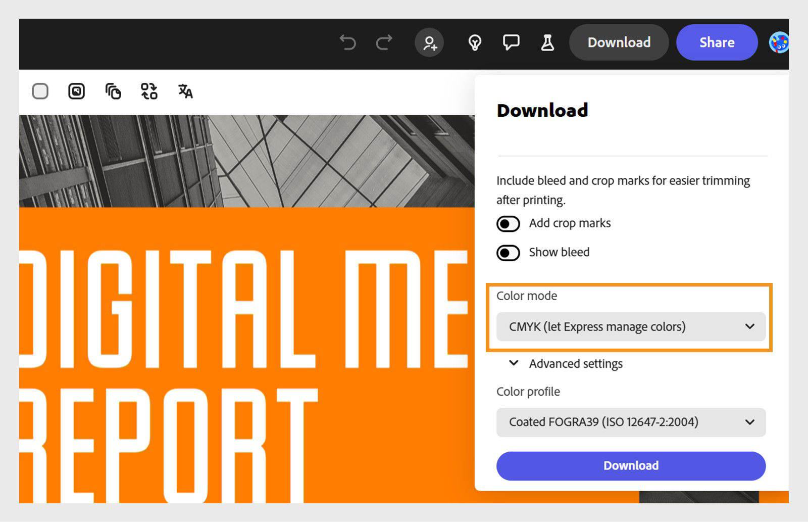 Download settings for a digital media PDF file displaying CMYK color mode highlighted with advanced settings and download option.