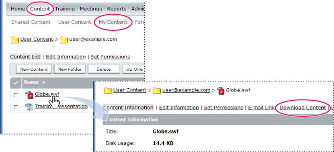 Die Verknüpfung „Download Content“ befindet sich auf der Informationsseite des Elements