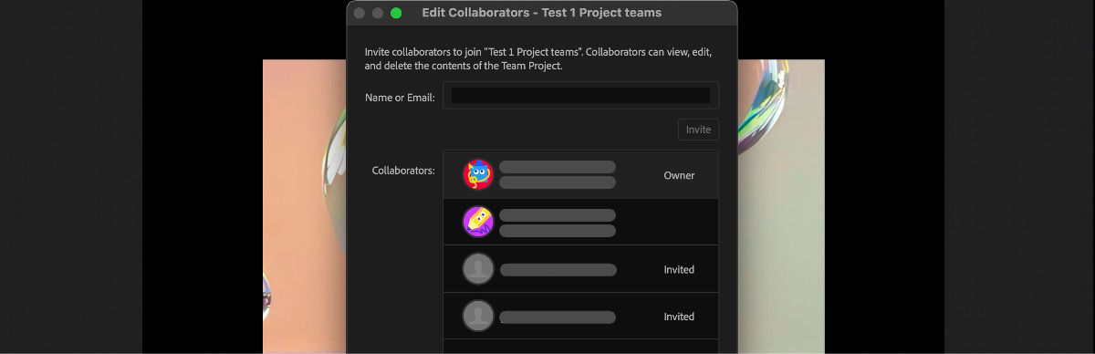 Edit Collaborators dialog with a Name or Email field to invite collaborators, showing existing collaborators listed as Owner or Invited.