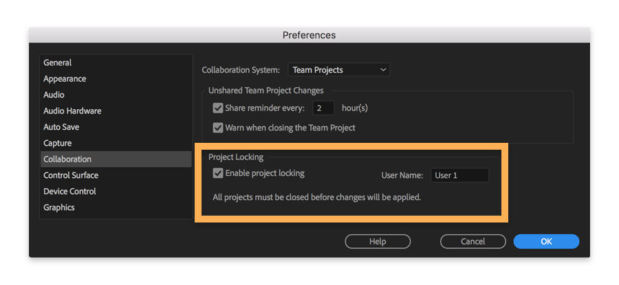 Project Locking feature under preferences must be selected to prevent accidental overwriting.