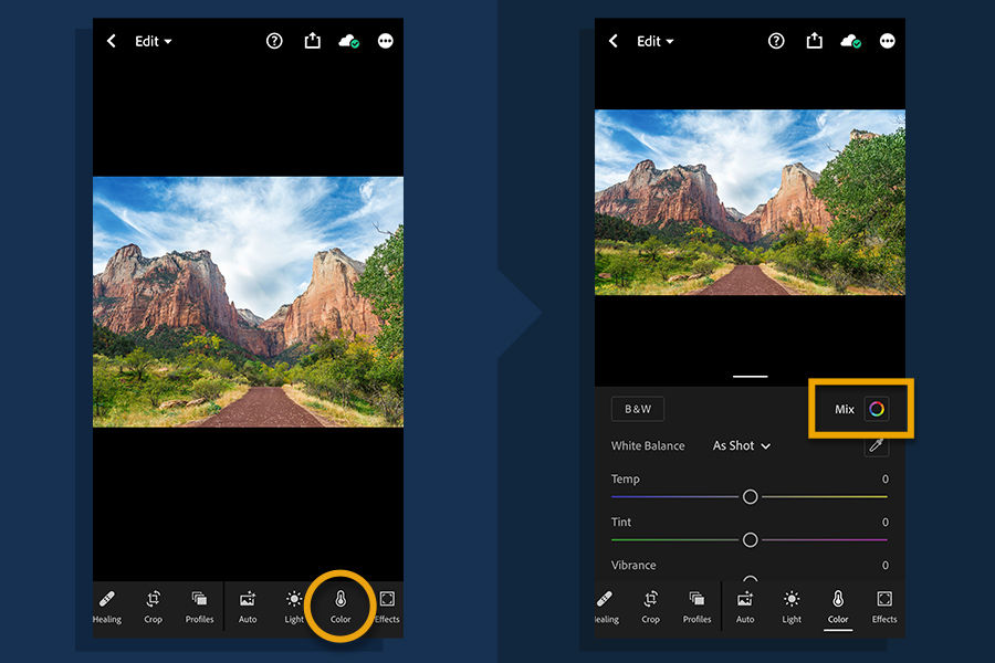 Tap Color > Mix and then drag the sliders to adjust colors