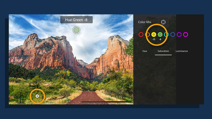 Choose Saturation, tap the grass with the Targeted Adjustment tool and drag left to reduce the saturation in green and yellow colors