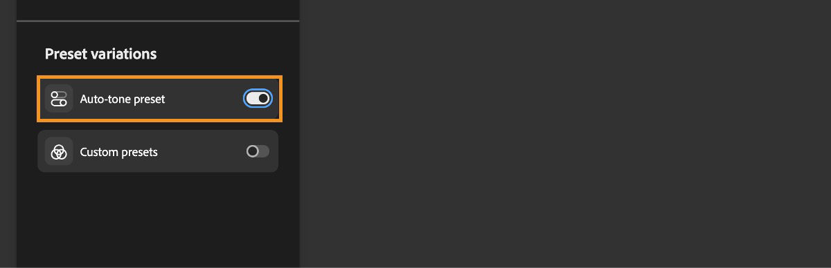 In the Preset variations section, Auto Tone preset is selected.