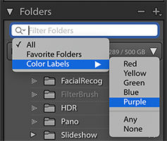 Filter color labeled folders in the Folders panel