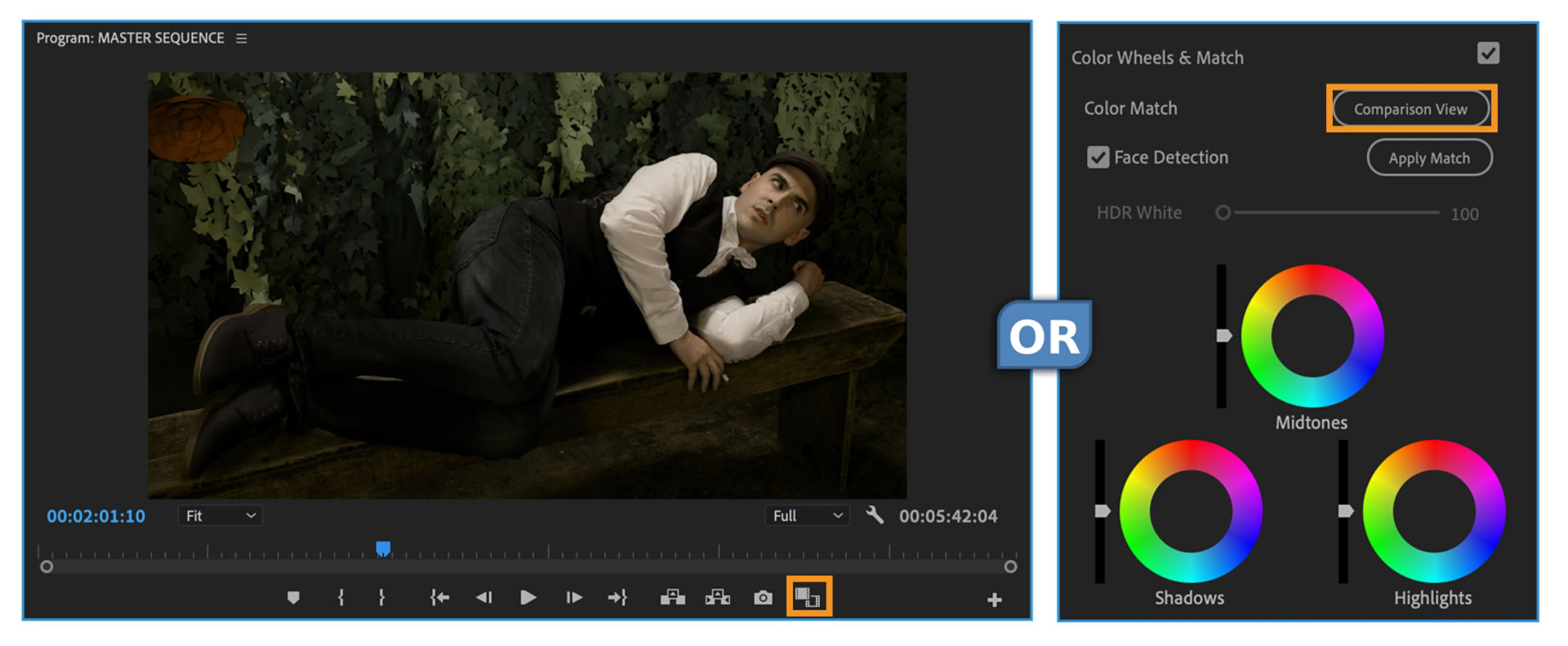 Switching to Comparison View