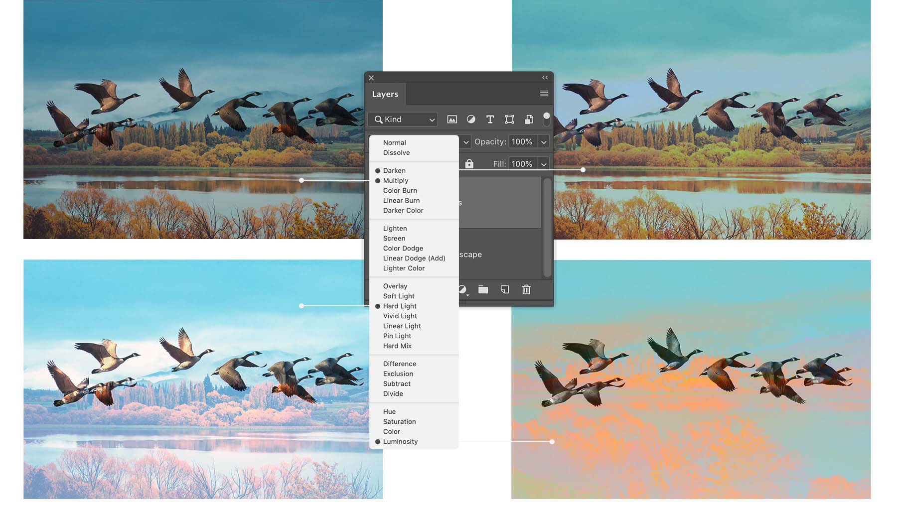 The bird layer is on top of the lake layer. Darken, Multiply, Hard Light, and Luminosity blend modes are previewed.