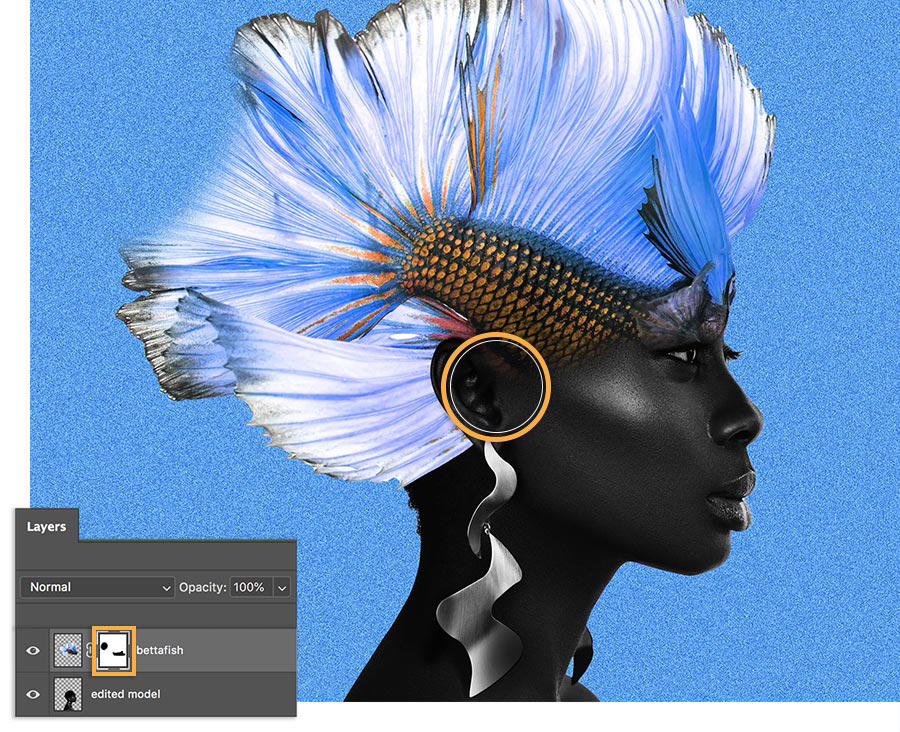 Model has bettafish placed on head with a Layer Mask applied hiding the fish around the model’s eyes, ears, and nose