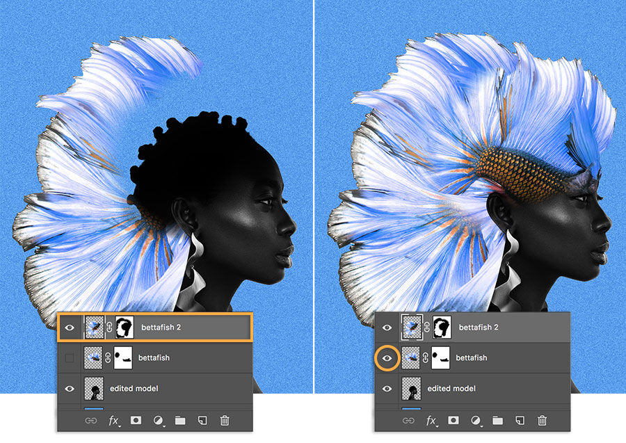 Left side shows model with 2 bettafish layers, one is a hidden layer; the right shows both visible with middle one rotated