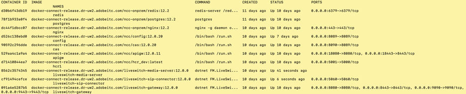 Containerstatus