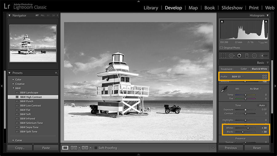 Contrast is adjusted in the Basic adjustment panel to customize the black and white image.