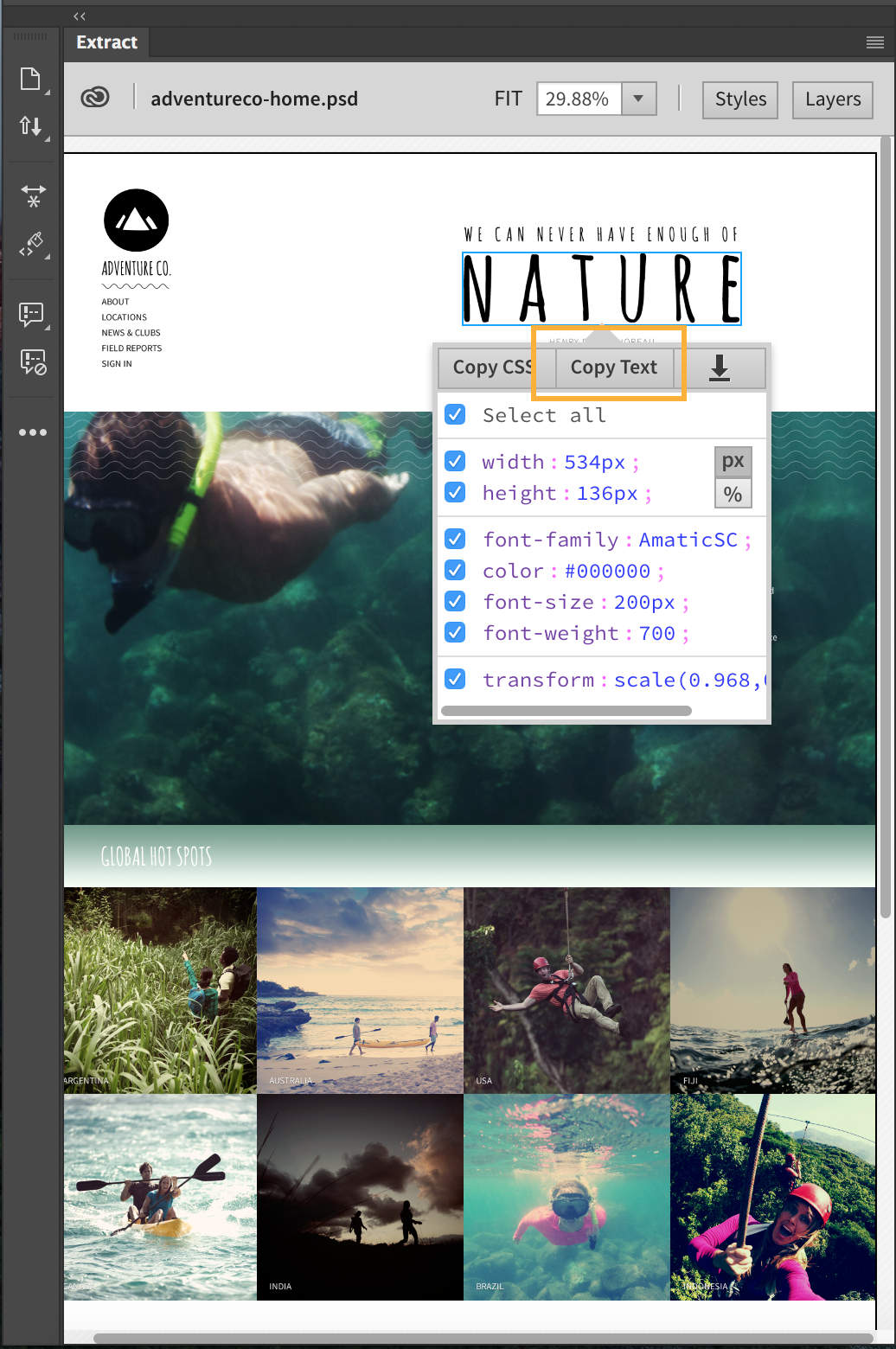 Copy Text option in the Extract panel