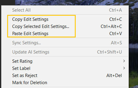 Copy and Paste ML masks