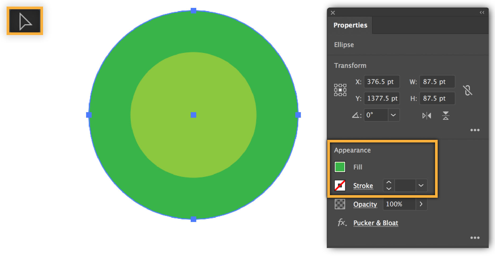 The fill tool is used to color the outer circle green, and the inner circle yellow-green. 
