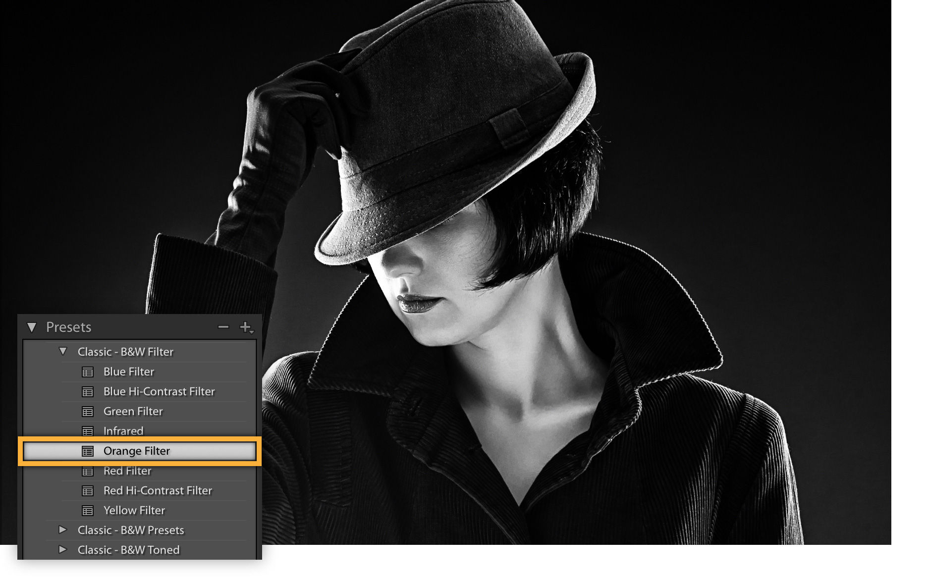 The black and white preset Orange Filter is selected for more dramatic shadows and highlights. 