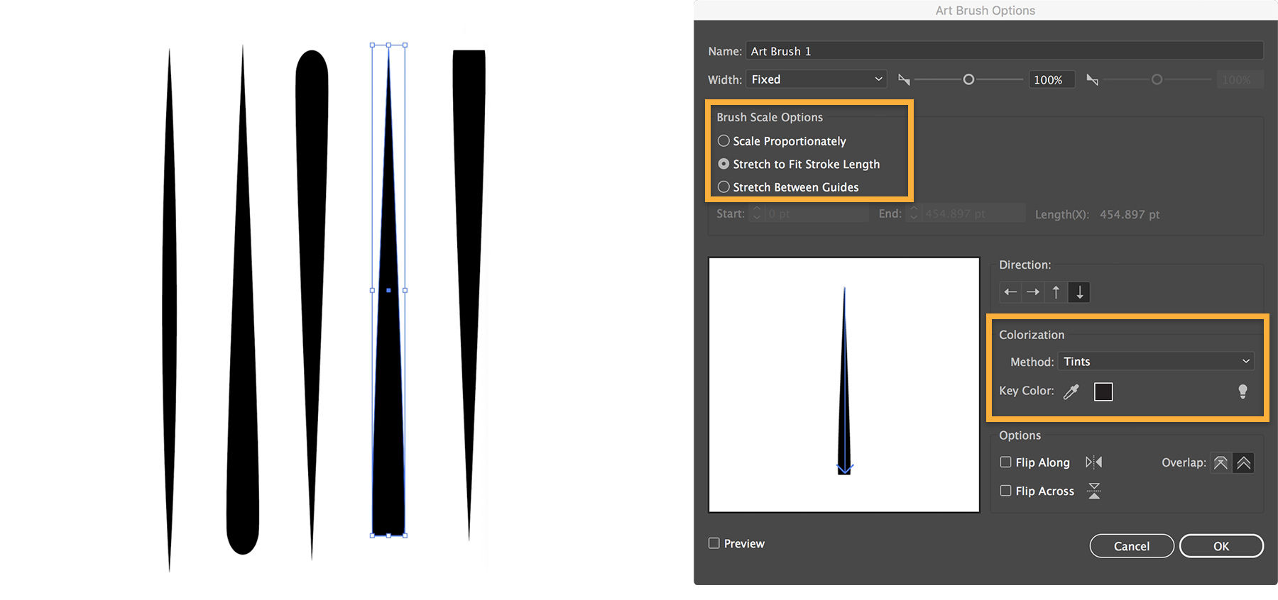 Ellipse tool is used to create custom brushes from elongated shapes. New brushes are added and tweaked in the Brush panel.  