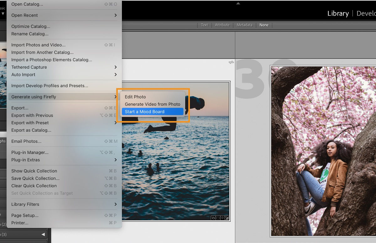 UI of Lightroom Classic showing Start a Mood Board option.