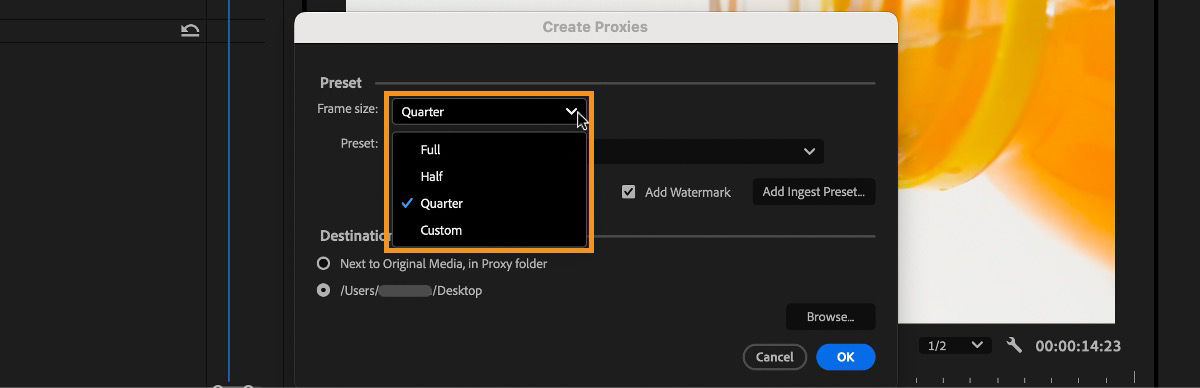 UI of the Create Proxies dialog box showing the various frame sizes available