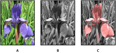 Photoshop - Afbeelding van bloem met verschillende instellingen