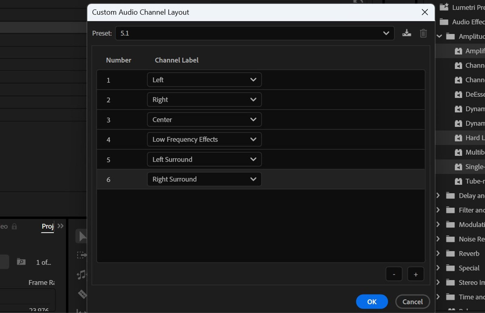 Custom Audio Channel Layout dialog is open, displaying various channels.