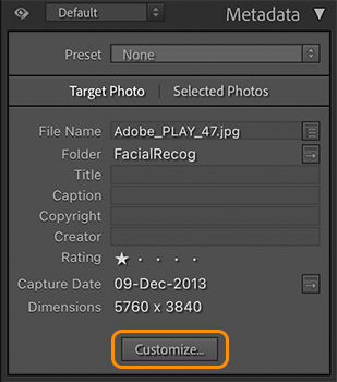 customize metadata panel