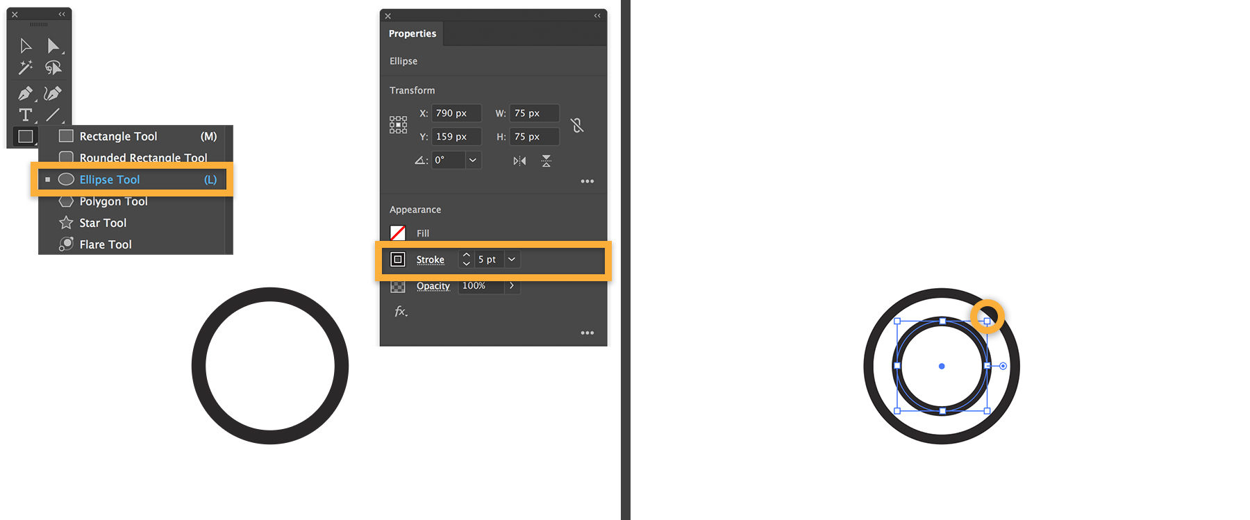 Bubbles are created using the Ellipse tool 
