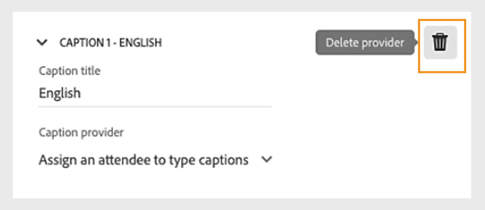 Delete caption provider