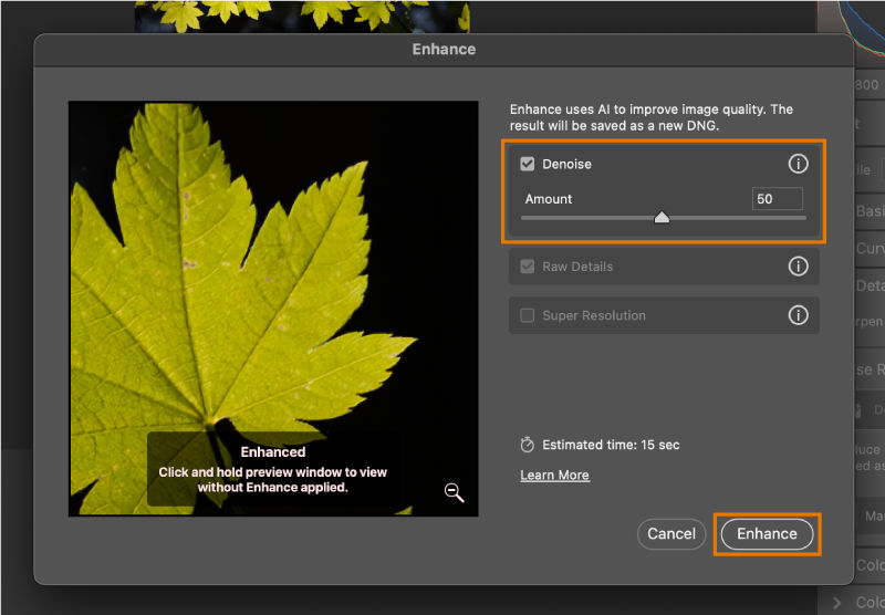 Enhance preview after Denoise has been applied to a RAW image with noise.