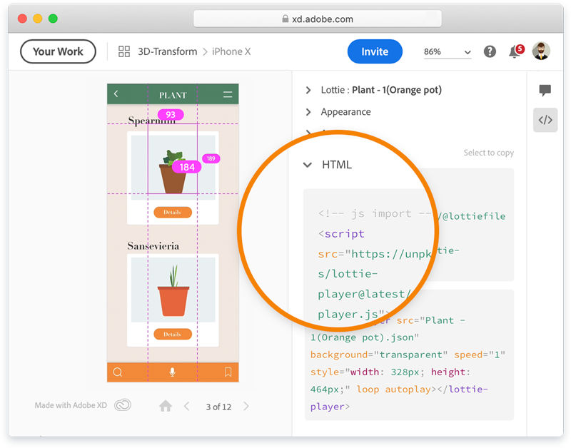 Inspect HTML code of Lottie and video