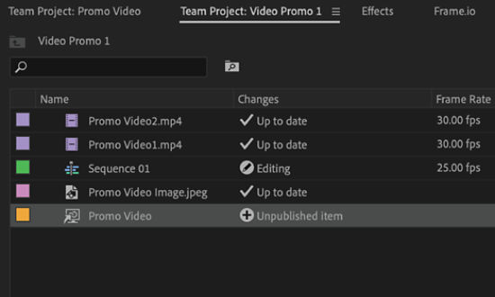 Display of linked team project