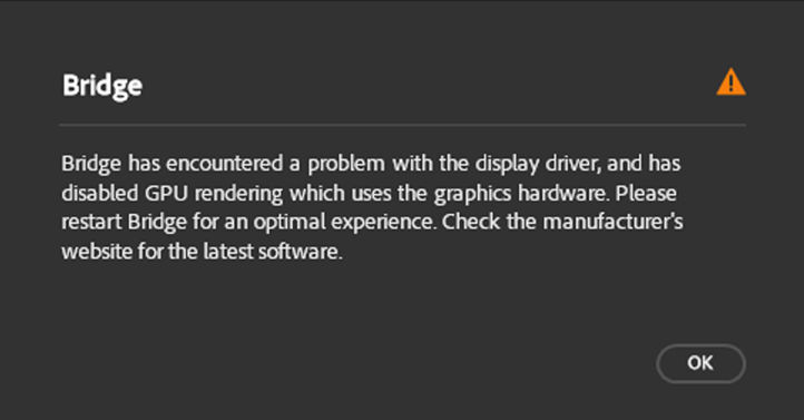 An error dialog box is displayed on screen showcasing that Bridge has encountered a problem with the display driver.